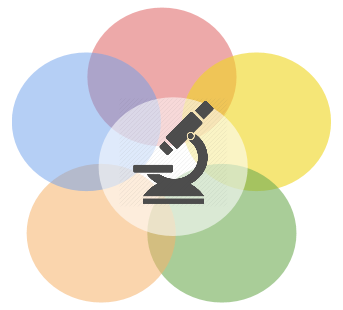webrtc_development_logo